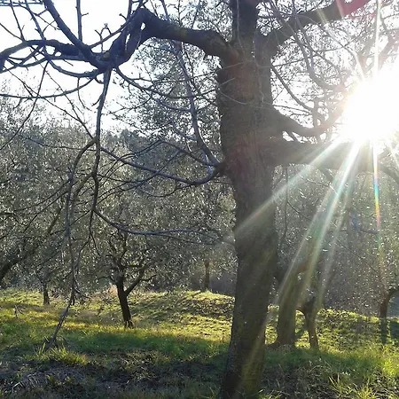 Miravalle Отель типа 